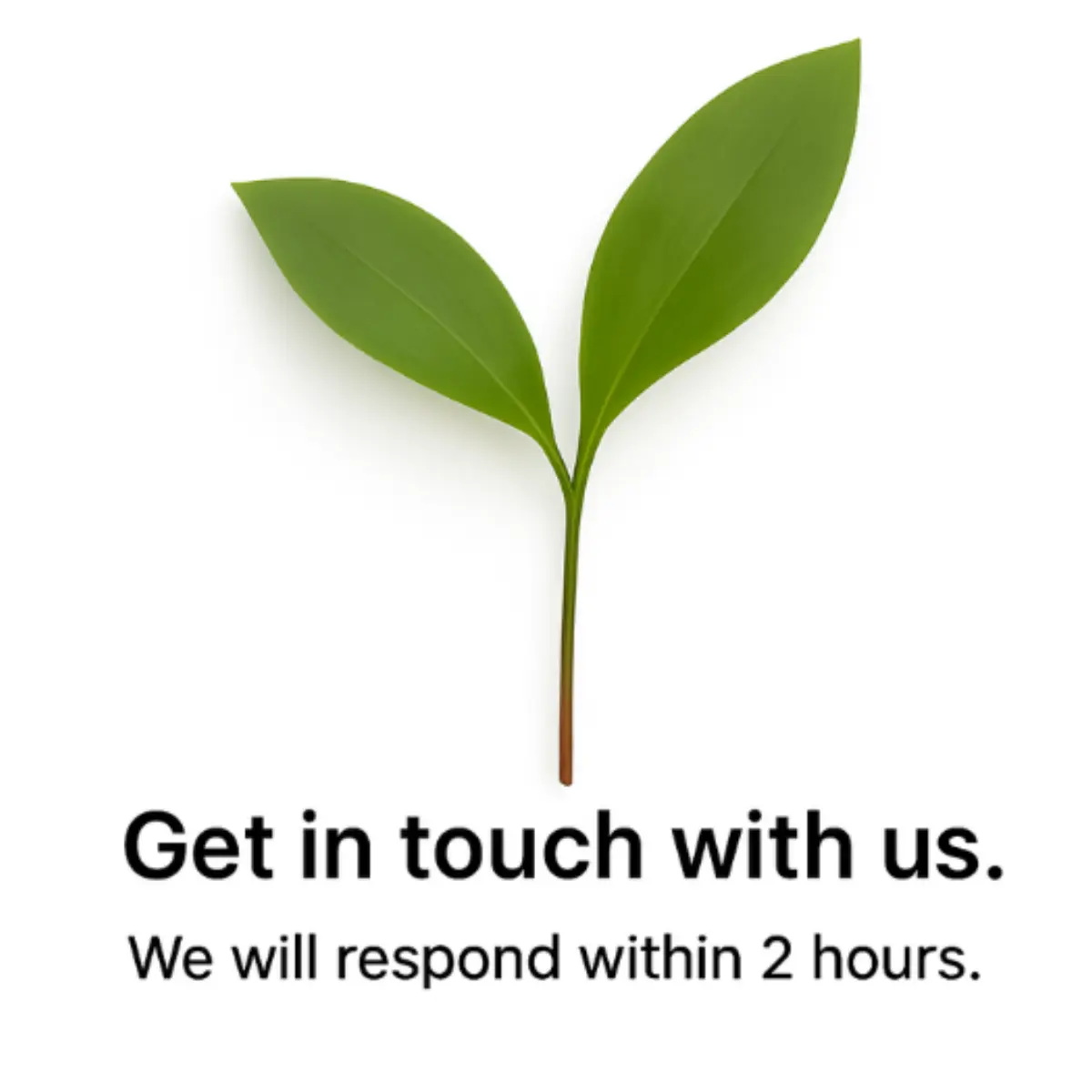 Contact